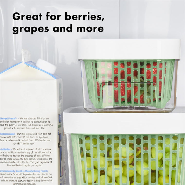 Oxo Good Grips Green Saver Produce Keeper